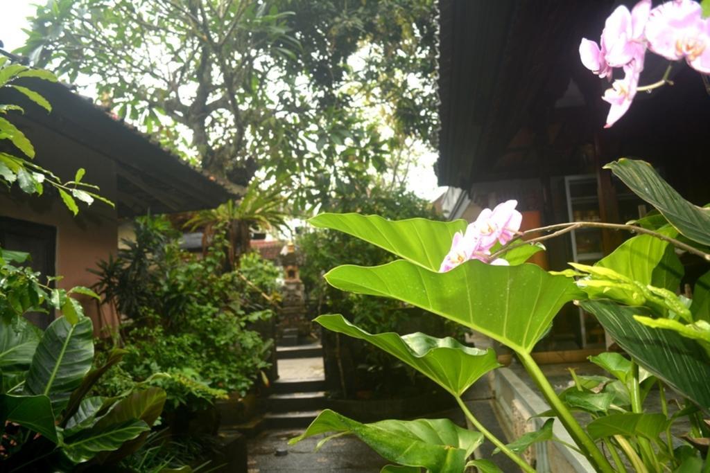 Affittacamere Manik House